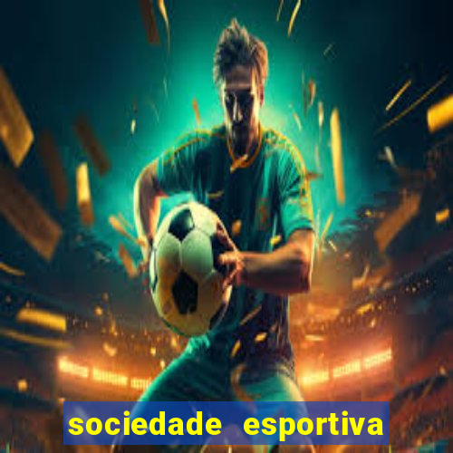 sociedade esportiva palmeiras x botafogo futemax